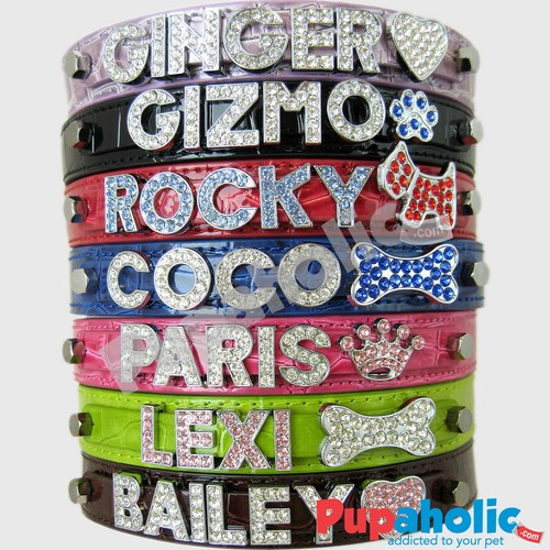 Collare personalizzato per